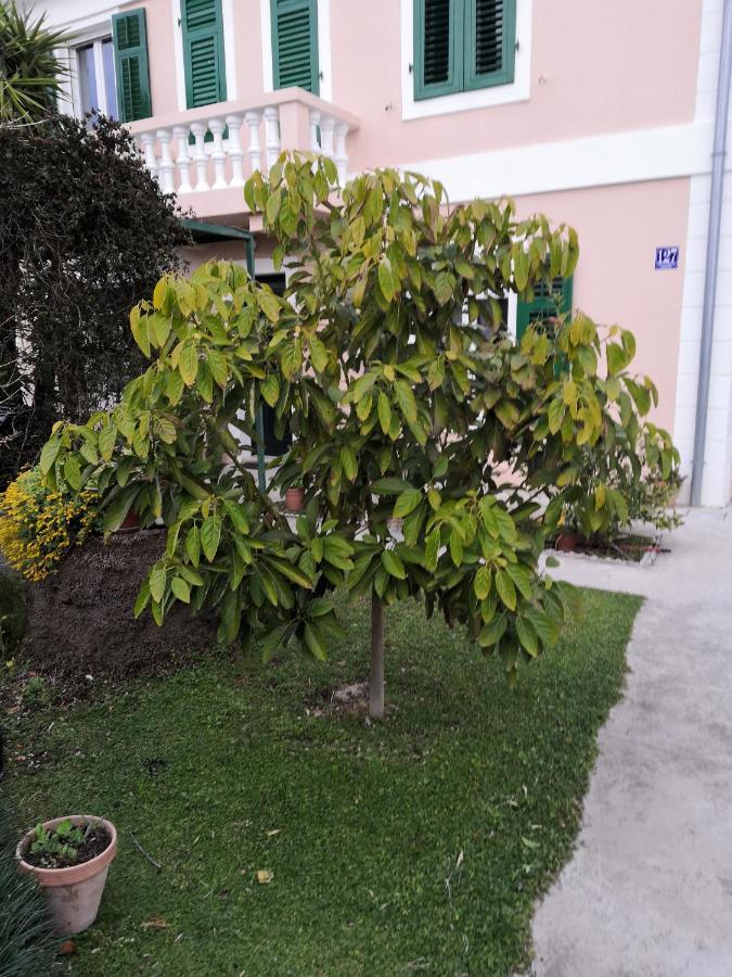 Apartment Dunja Herceg Novi Buitenkant foto