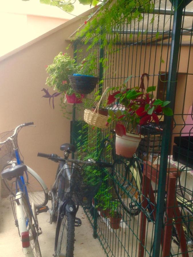 Apartment Dunja Herceg Novi Buitenkant foto